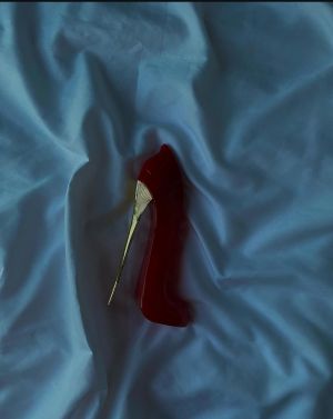 Selected Variant Image