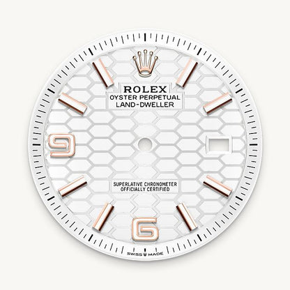 Rolex Land Dweller Rose Gold with White Dial