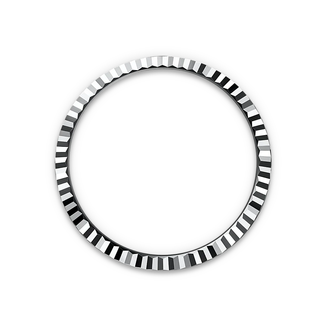 Rolex Land dweller silver blue