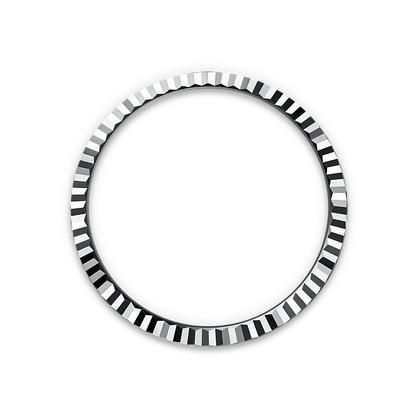 Rolex Land dweller silver blue